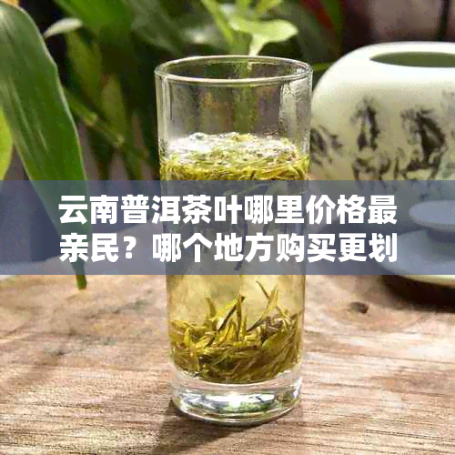 云南普洱茶叶哪里价格最亲民？哪个地方购买更划算？