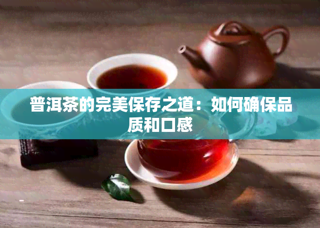 普洱茶的完美保存之道：如何确保品质和口感