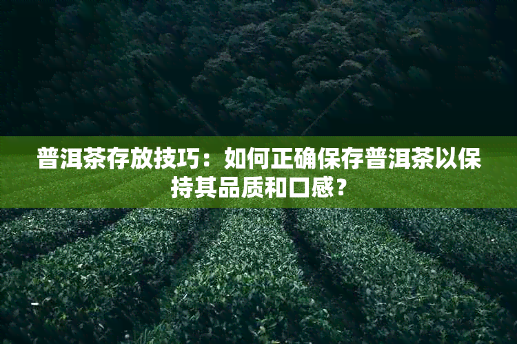 普洱茶存放技巧：如何正确保存普洱茶以保持其品质和口感？