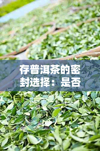 存普洱茶的密封选择：是否真的必要？