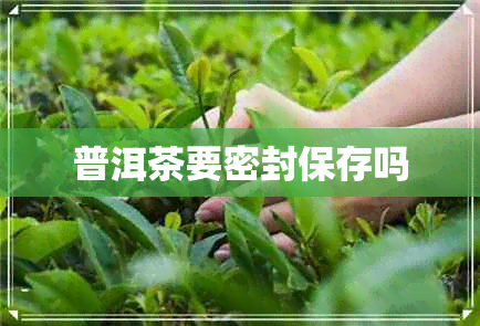 普洱茶要密封保存吗