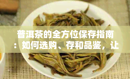 普洱茶的全方位保存指南：如何选购、存和品鉴，让你的茶叶保持状态