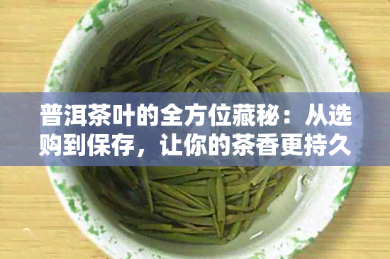 普洱茶叶的全方位藏秘：从选购到保存，让你的茶香更持久