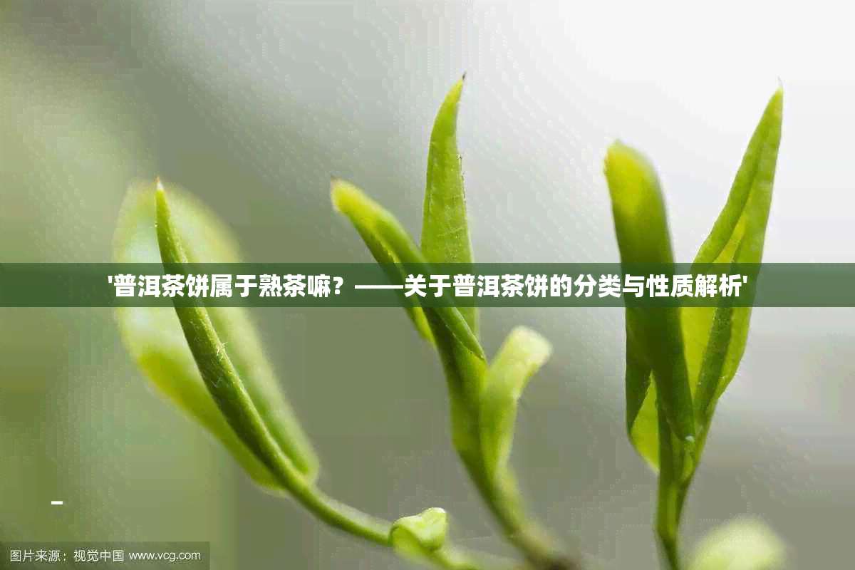 '普洱茶饼属于熟茶嘛？——关于普洱茶饼的分类与性质解析'