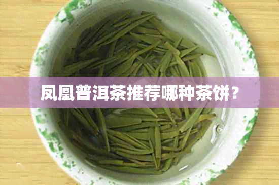 凤凰普洱茶推荐哪种茶饼？