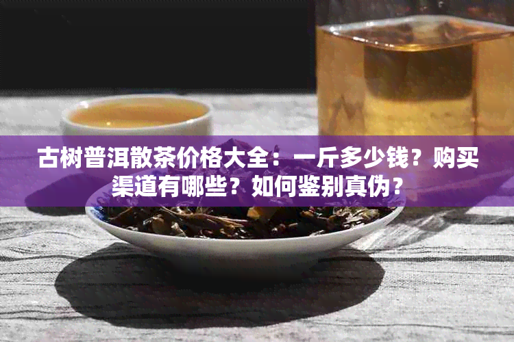 古树普洱散茶价格大全：一斤多少钱？购买渠道有哪些？如何鉴别真伪？