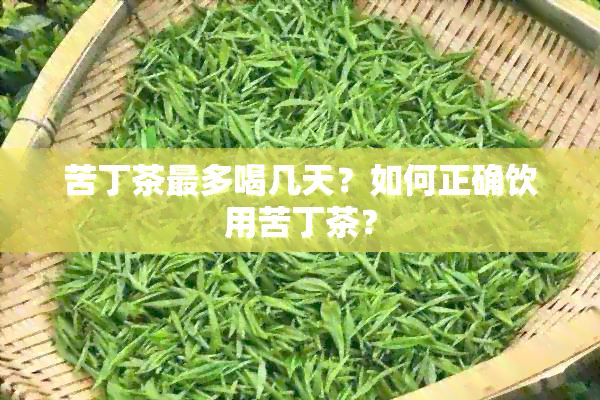 苦丁茶最多喝几天？如何正确饮用苦丁茶？