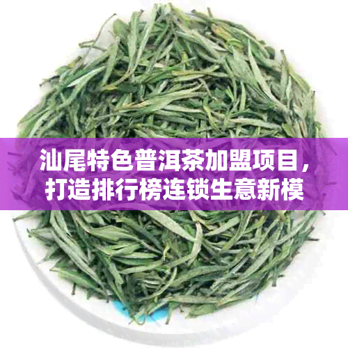 汕尾特色普洱茶加盟项目，打造排行榜连锁生意新模式