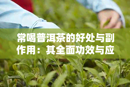 常喝普洱茶的好处与副作用：其全面功效与应用