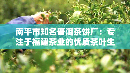 南平市知名普洱茶饼厂：专注于福建茶业的优质茶叶生产与研发