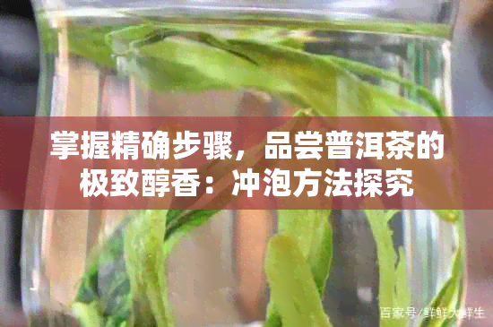 掌握精确步骤，品尝普洱茶的极致醇香：冲泡方法探究