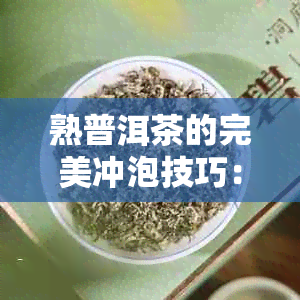 熟普洱茶的完美冲泡技巧：深入解析正确操作步骤