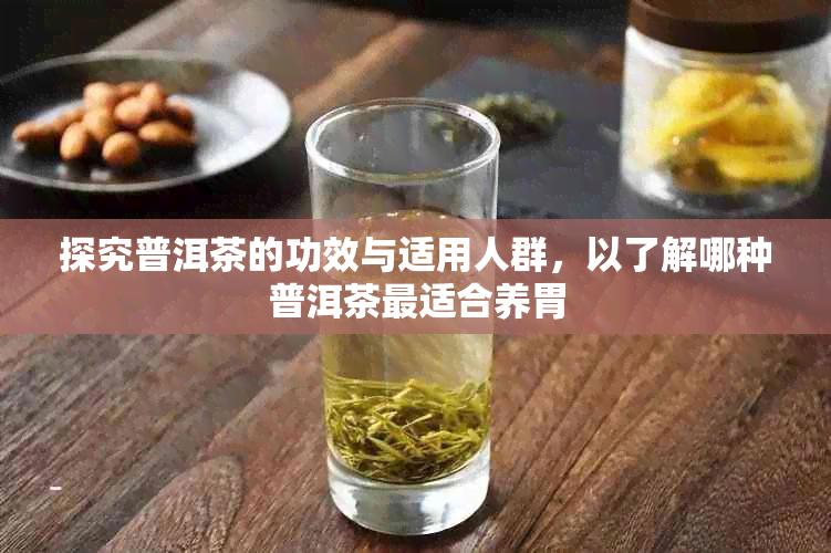 探究普洱茶的功效与适用人群，以了解哪种普洱茶最适合养胃