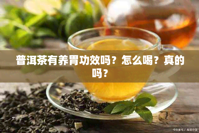 普洱茶有养胃功效吗？怎么喝？真的吗？