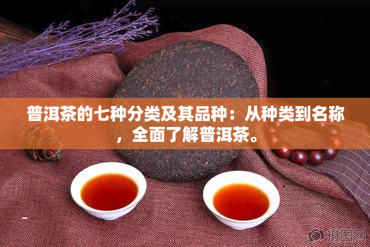 普洱茶的七种分类及其品种：从种类到名称，全面了解普洱茶。