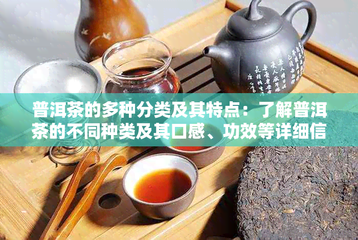 普洱茶的多种分类及其特点：了解普洱茶的不同种类及其口感、功效等详细信息