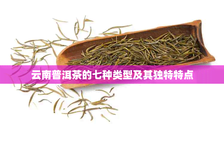 云南普洱茶的七种类型及其独特特点