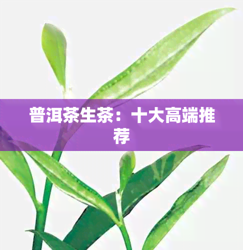 普洱茶生茶：十大高端推荐