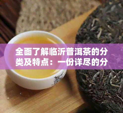 全面了解临沂普洱茶的分类及特点：一份详尽的分类表格及解析