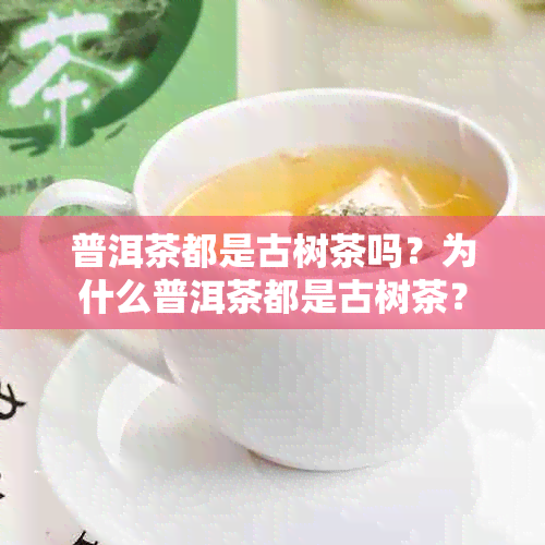 普洱茶都是古树茶吗？为什么普洱茶都是古树茶？