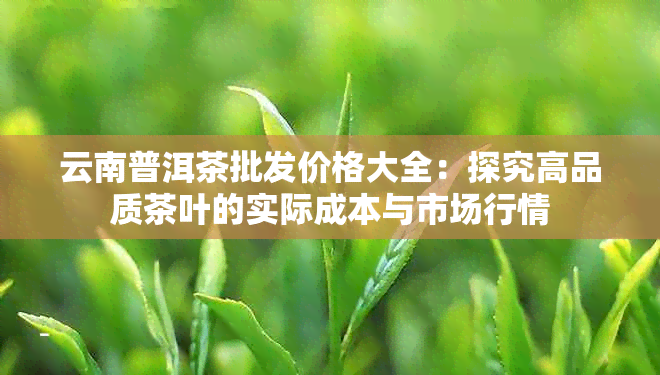 云南普洱茶批发价格大全：探究高品质茶叶的实际成本与市场行情