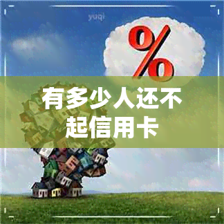 有多少人还不起信用卡