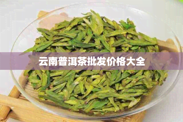 云南普洱茶批发价格大全