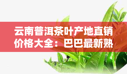 云南普洱茶叶产地直销价格大全：巴巴最新熟茶报价