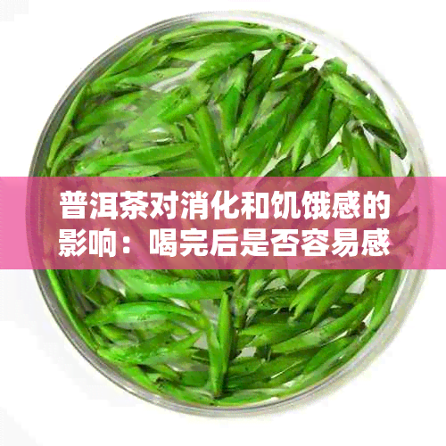 普洱茶对消化和饥饿感的影响：喝完后是否容易感到饿？