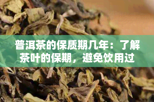 普洱茶的保质期几年：了解茶叶的保期，避免饮用过期茶叶。