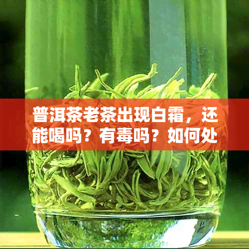 普洱茶老茶出现白霜，还能喝吗？有吗？如何处理？