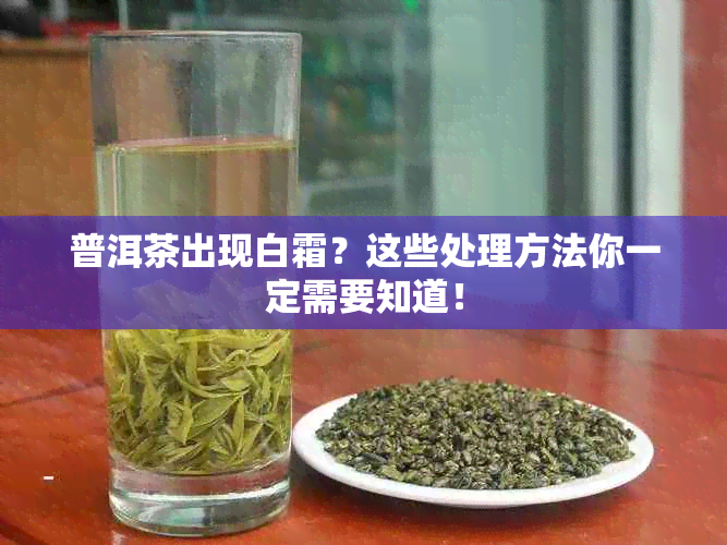 普洱茶出现白霜？这些处理方法你一定需要知道！