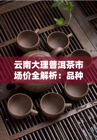 云南大理普洱茶市场价全解析：品种、年份、品质等多方面综合了解