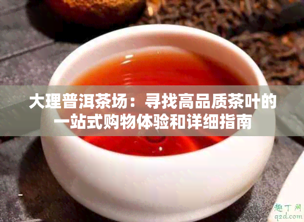 大理普洱茶场：寻找高品质茶叶的一站式购物体验和详细指南