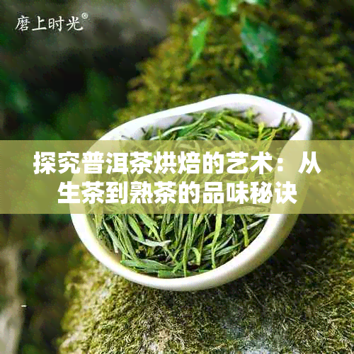 探究普洱茶烘焙的艺术：从生茶到熟茶的品味秘诀