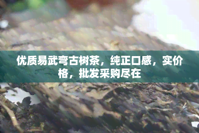 优质易武弯古树茶，纯正口感，实价格，批发采购尽在