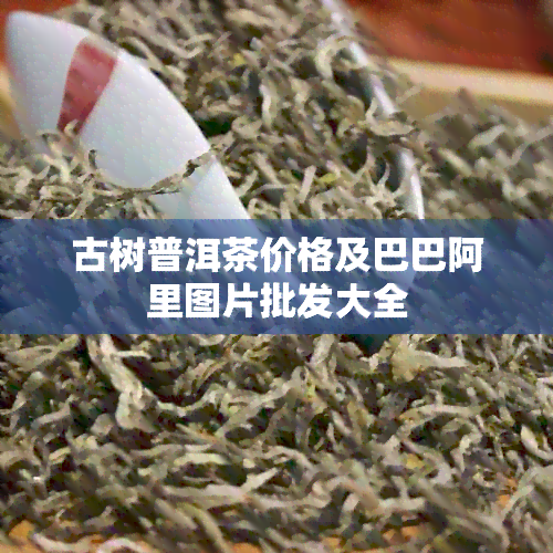 古树普洱茶价格及巴巴阿里图片批发大全