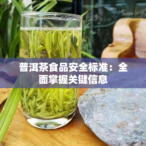 普洱茶食品安全标准：全面掌握关键信息