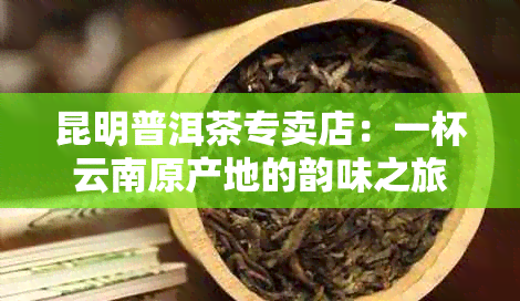 昆明普洱茶专卖店：一杯云南原产地的韵味之旅