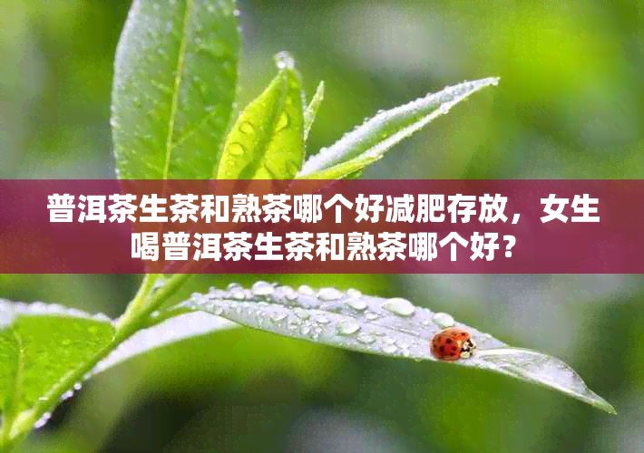 普洱茶生茶和熟茶哪个好减肥存放，女生喝普洱茶生茶和熟茶哪个好？