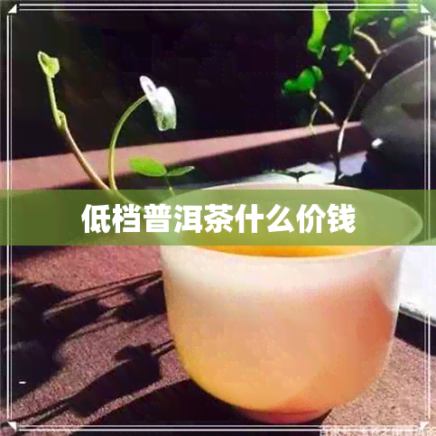 低档普洱茶什么价钱