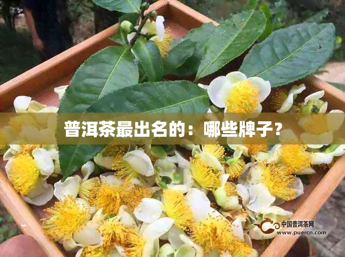 普洱茶最出名的：哪些牌子？