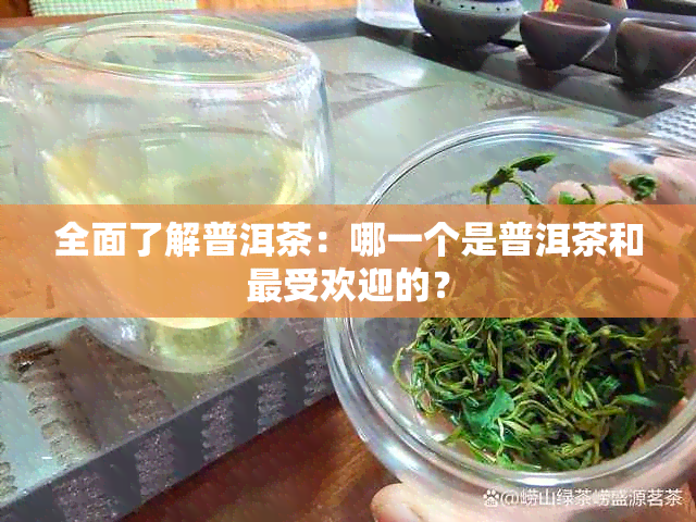 全面了解普洱茶：哪一个是普洱茶和更受欢迎的？