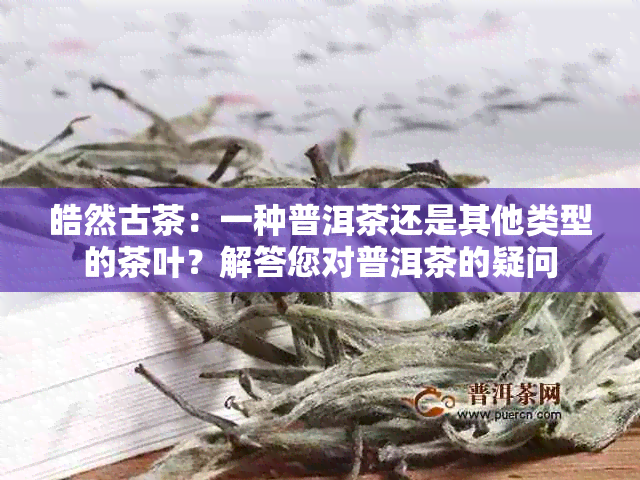 皓然古茶：一种普洱茶还是其他类型的茶叶？解答您对普洱茶的疑问