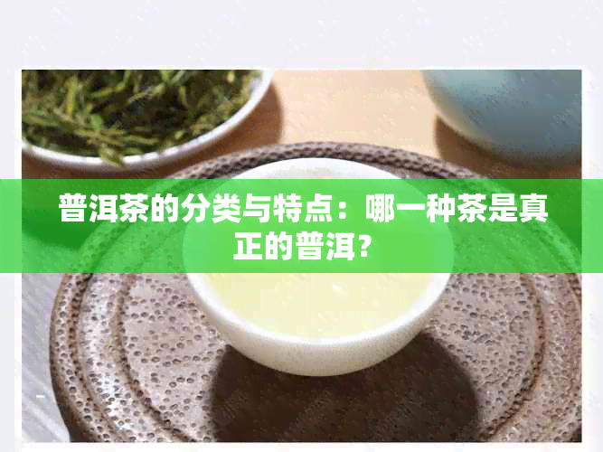 普洱茶的分类与特点：哪一种茶是真正的普洱？