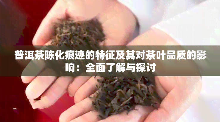 普洱茶陈化痕迹的特征及其对茶叶品质的影响：全面了解与探讨