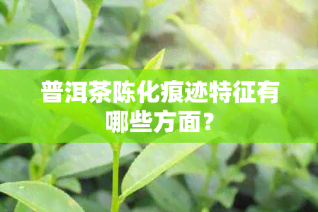 普洱茶陈化痕迹特征有哪些方面？