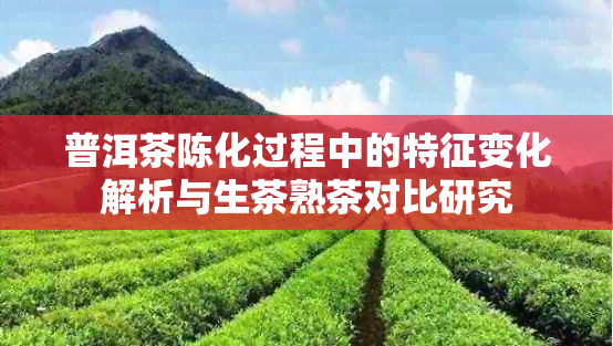 普洱茶陈化过程中的特征变化解析与生茶熟茶对比研究