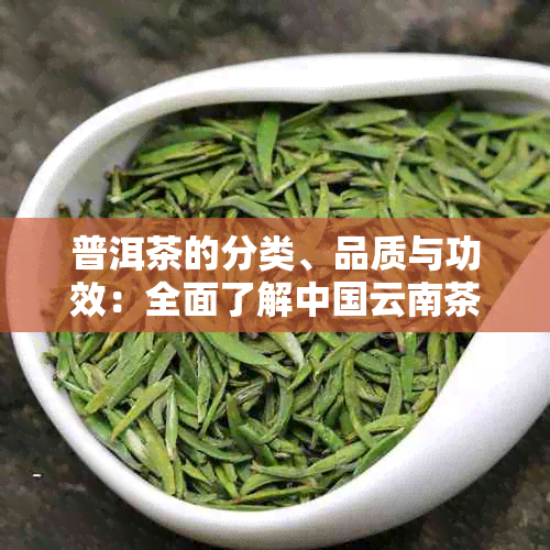 普洱茶的分类、品质与功效：全面了解中国云南茶叶的特点与价值