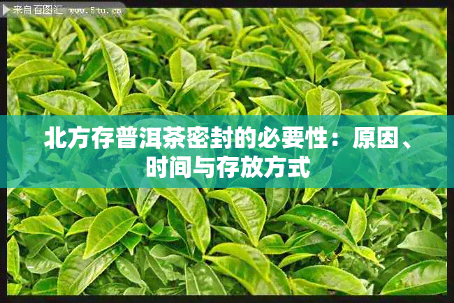 北方存普洱茶密封的必要性：原因、时间与存放方式